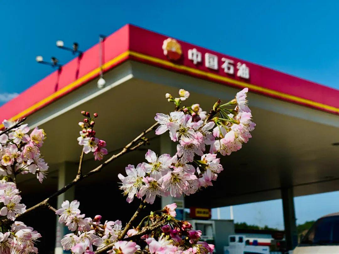 汽车油箱口结构图_油枪工作原理_加油跳枪原因